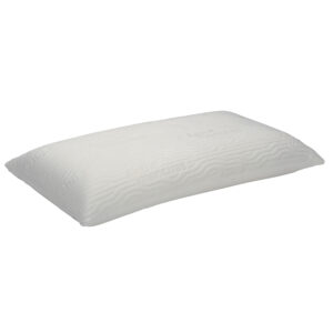 Oreiller viscoélastique anti-taches 2 taies d'oreiller